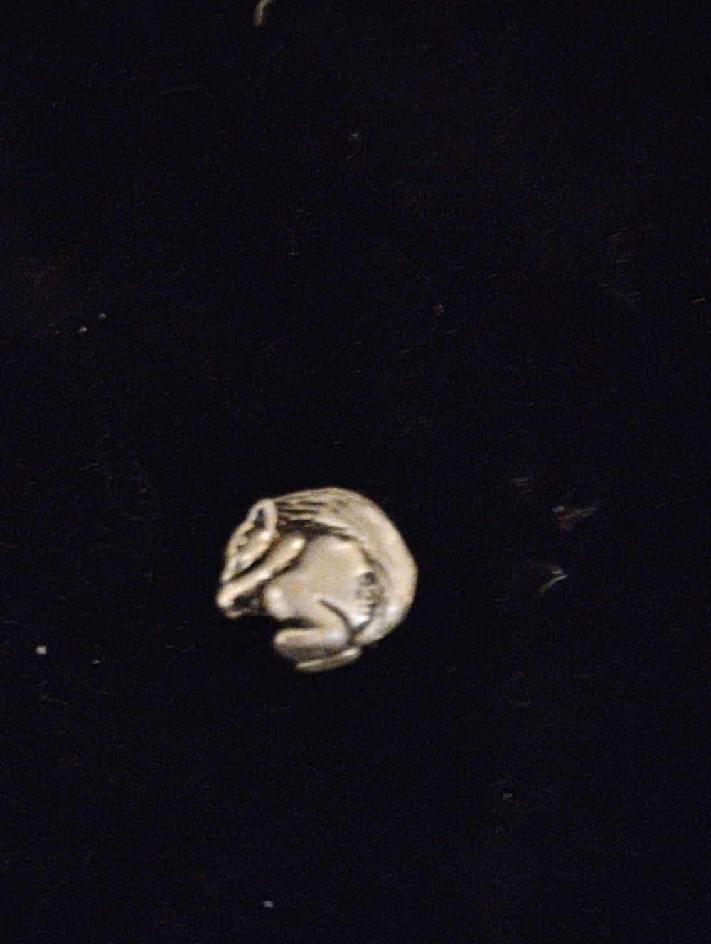 Squirrel Slide Charm 925 Silver